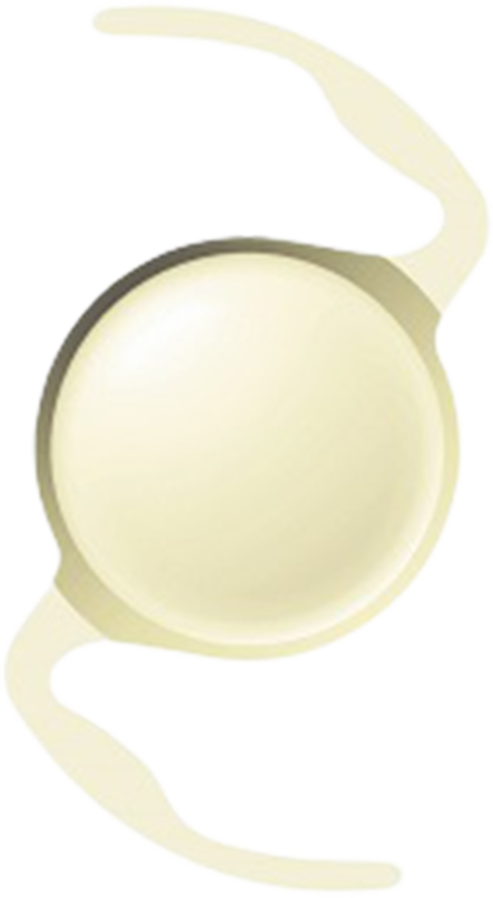 Beginning of Production of Intraocular Lens at the Main Plant / photo