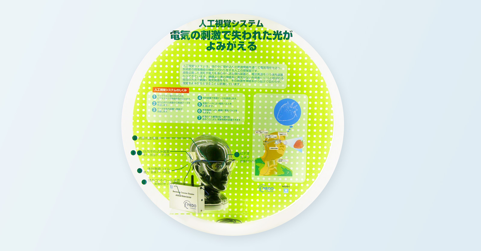 Exhibition of the Prototype Visual Prosthesis / photo