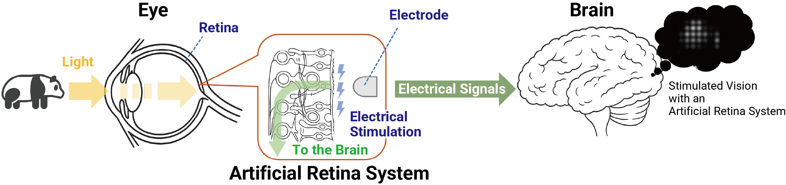 how it works and looks